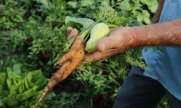 agricultura familiar.webp